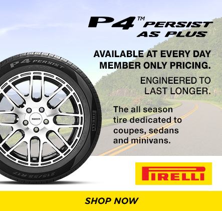 New P4 Persist AS Plus. Avaialable at every day member only pricing.  Shop Now.
