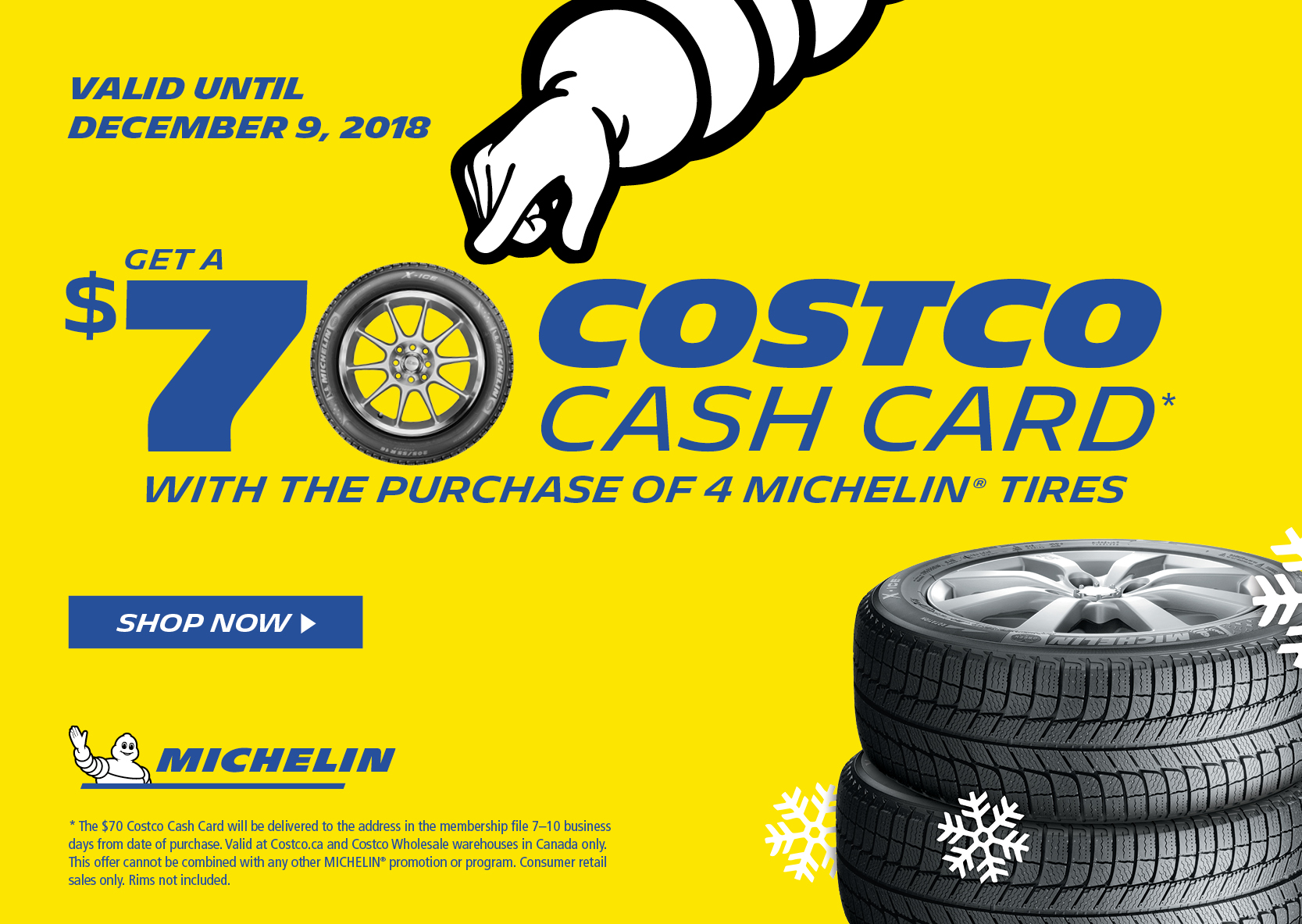 Costco.ca Shop for Tires